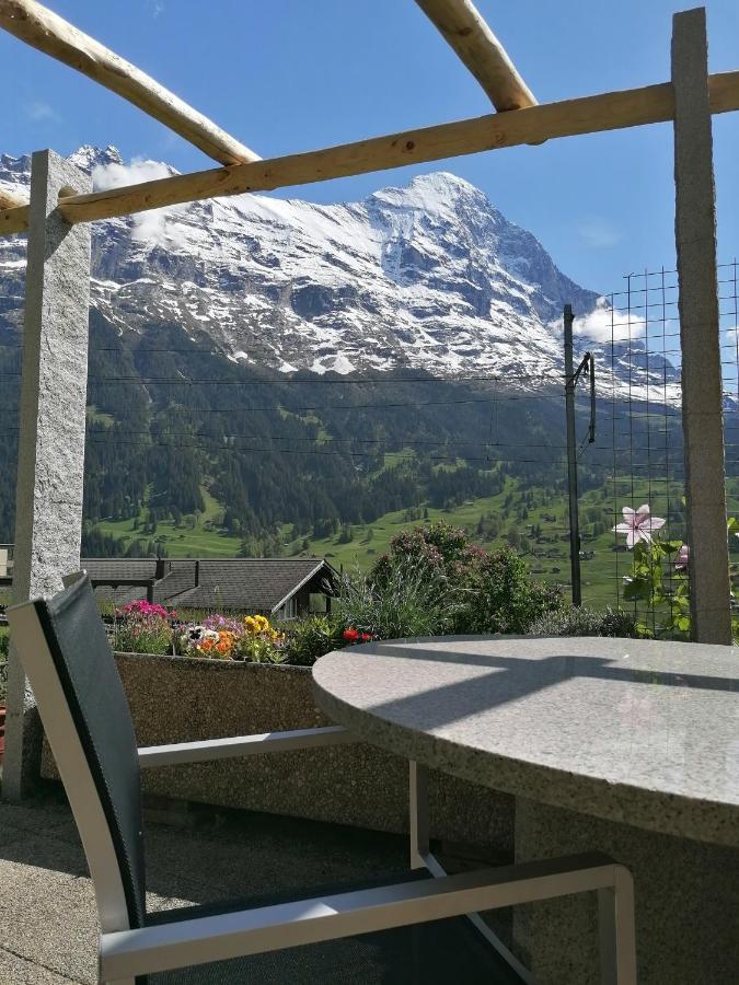 "Studio Edelweiss" Spillstatthus Grindelwald Kültér fotó